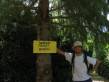 Worlds tallest Bonsai.jpg